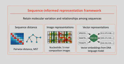 Three ways to represent eDNA sequences: sequence distances, DNA composition images, and vector embeddings
