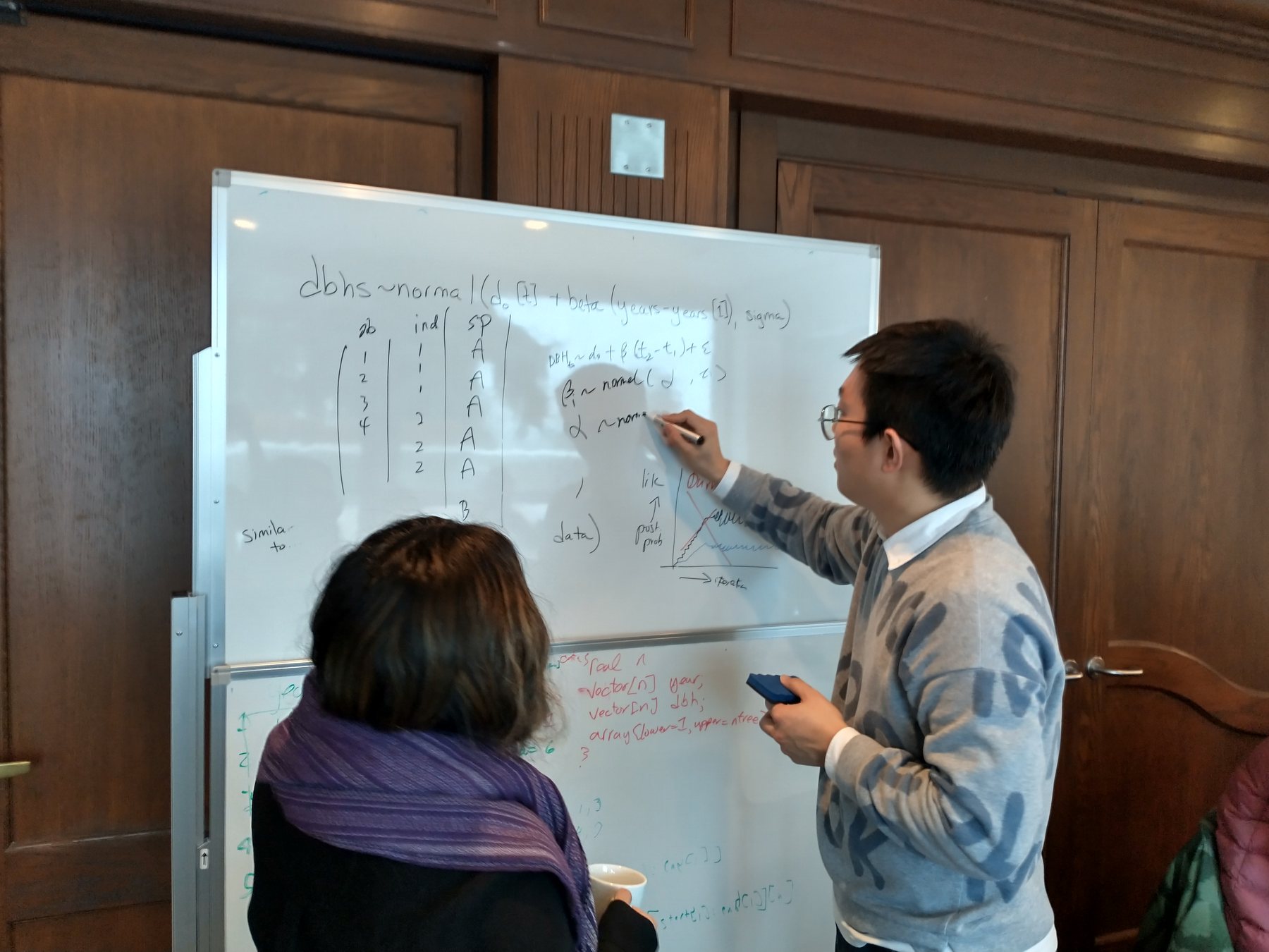 Explaining a model during a Bayesian workshop