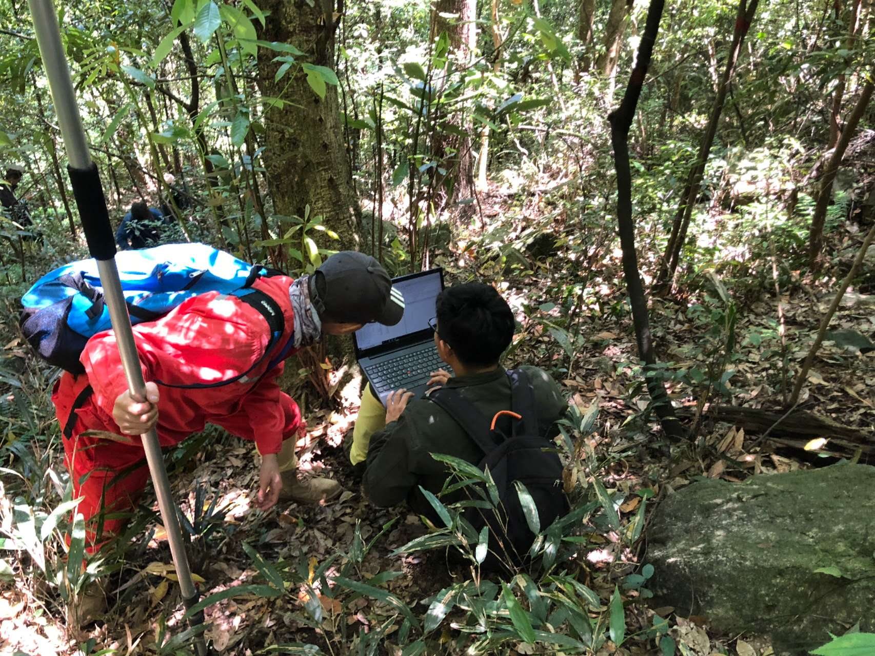 Recording field observations in a forest