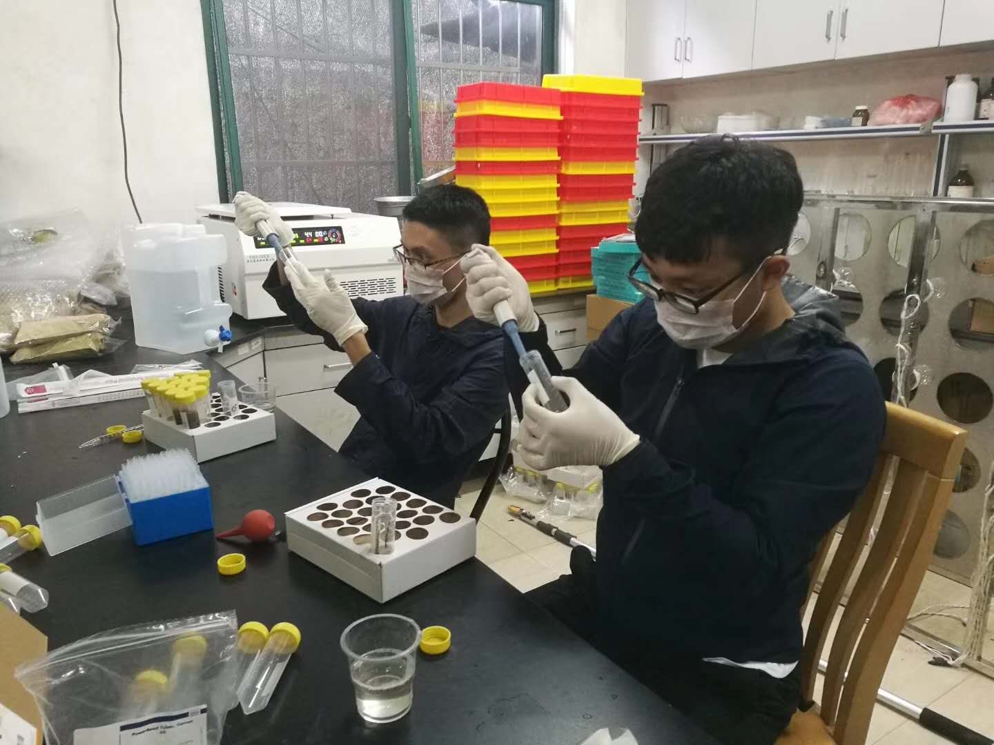 Processing ecological samples in a laboratory