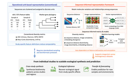 Sequence-informed biodiversity metrics for eDNA