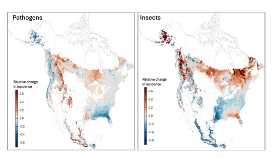 Climate-driven shifts in forest insect and pathogen risks